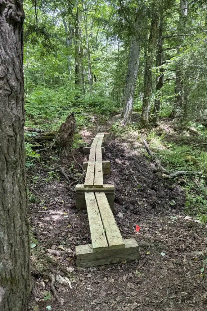 Boardwalks in the Porkies