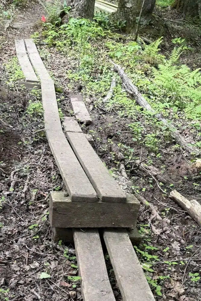 Boardwalks Completed
