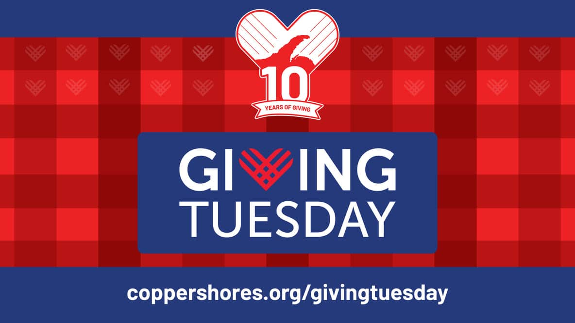 Giving Tuesday